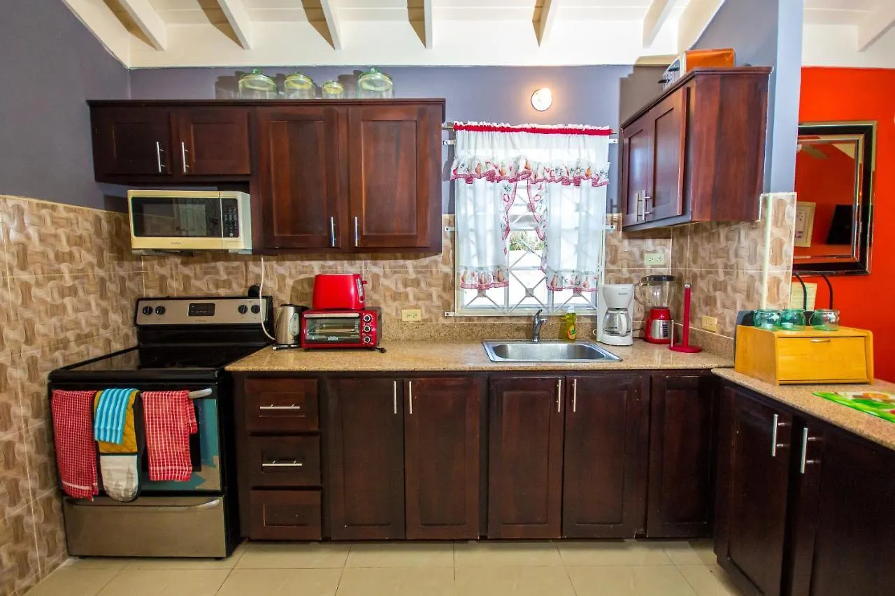 Ocho Rios Emerald 2 Bed 10 Mins Ocho Rios 24Hrs Hot Water Wi Fi Jamaica